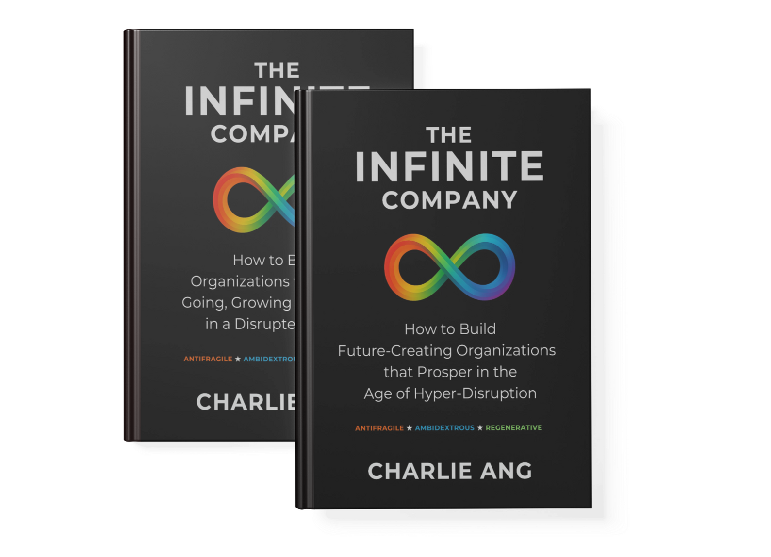 The Infinite Company book hard cover